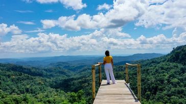 A young girl looking at the Amazon rainforest from the top during her two weeks in Brazil.