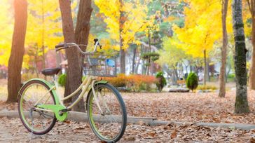 Cycling in South Korea: 5 Best Routes, When to Go & Travel Tips