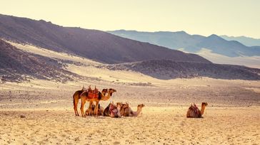 Egypt in April: Go on a Desert Safari