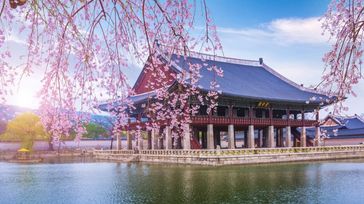 Best Time to Visit South Korea