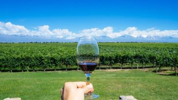 Mendoza Wine Tours: All You Need to Know