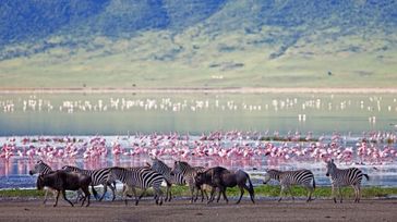 Top 5 Things to Do on a Ngorongoro Safari