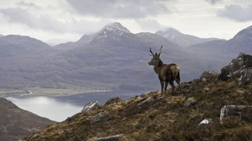10 Days in Scotland: Top 3 Recommendations