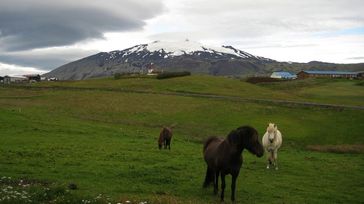 Snæfellsjökull Volcano: All You Need to Know