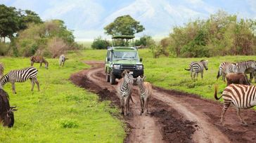 10 Best Things to Do in Tanzania: Explore the Obvious and Beyond!