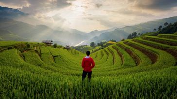 Trekking in Sapa: Everything You Need to Know