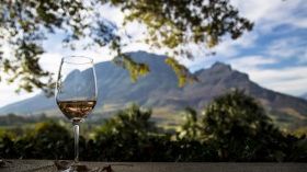 Sip Wine in Cape Town