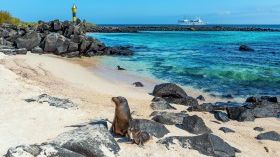 Wildlife-watch in the Galapagos Islands