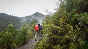 Take on the Kumano Kodo Trails