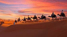 Explore the Moroccan Sahara Desert