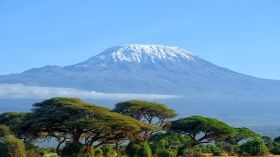Take in The Beauty of Mount Kilimanjaro