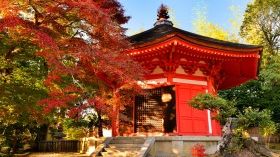 Embark on a Rich Cultural Journey of Kyoto