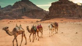 Camel Safari in Wadi Rum