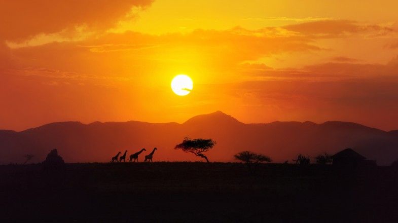 Kenya Vs Tanzania Safari: Location