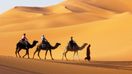 Taking a desert safari in Dubai