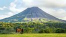 Located within or near the national park, Arenal Volcano has a lot of great Arenal hotels to choose from.