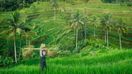 Visiting the popular rice terraces in Tegallalang is a fun thing to do in Ubud.