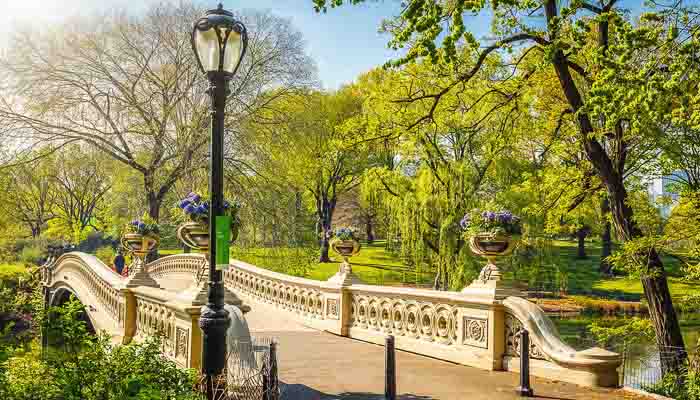 Central Park in New York