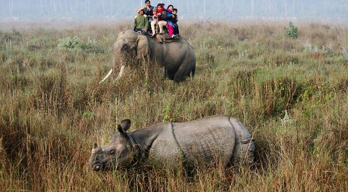 Tourists watch a rhinoceros during elephant safari in Chitwan National Park.