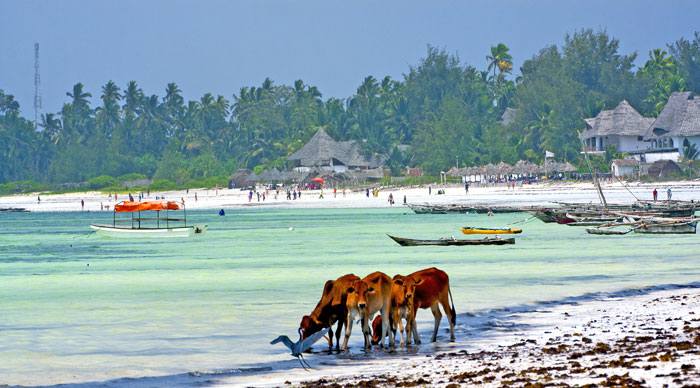 Zanzibar Beach