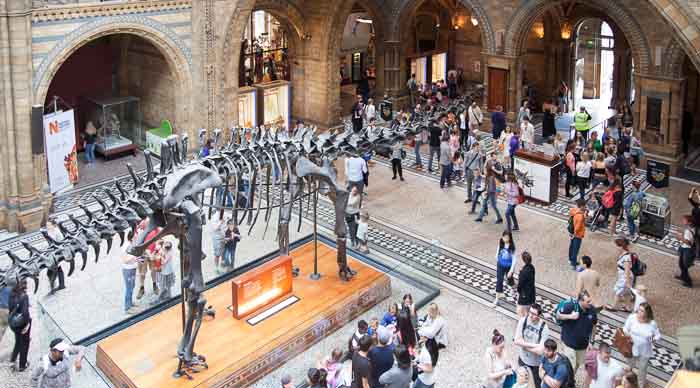 The National History Museum in London