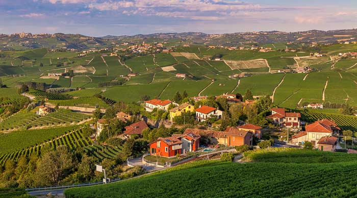 Piedmont Wine in Italy