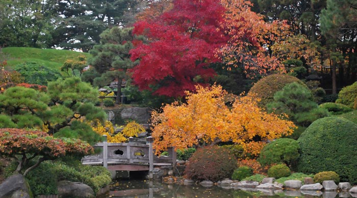 Japanese Style Garden in Brooklyn Botanic Garden