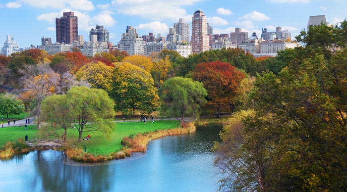 Central Park during the fall 