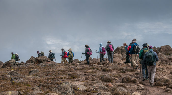 Group of trekkers on Kilimanjaro