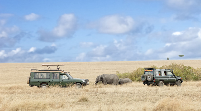 Masai Mara National Park