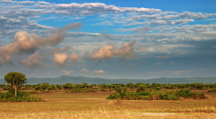 Queen Elizabeth National Park