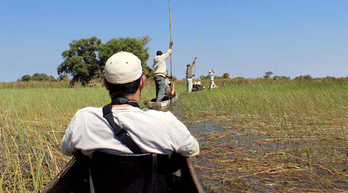 Ride in a traditional Okavango