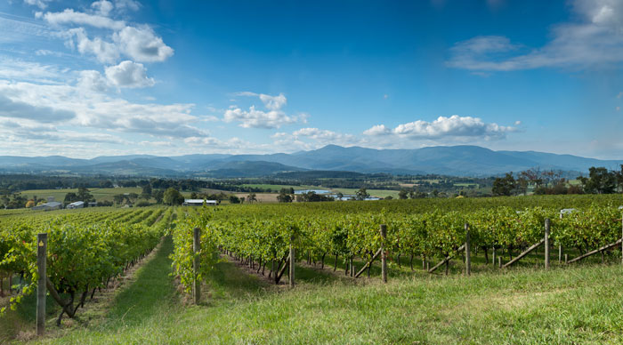 View of the Yarra Valley