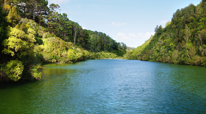 Man made lake in Zealandia