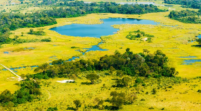 Okavango Delta