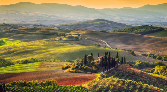 Tuscany Wine Region
