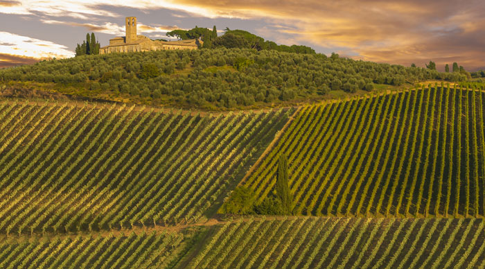 Umbria Wine Region