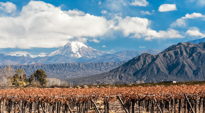 Volcano Aconcagua and Mendoza Vineyard