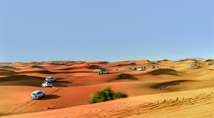 Desert Safari in 4WD