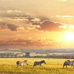 Serengeti National Park