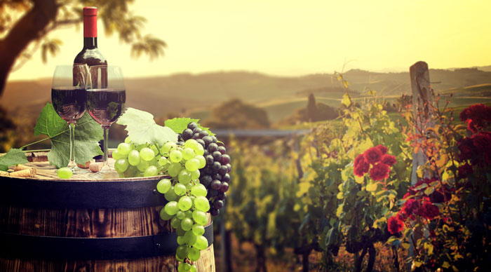 A bottle of wine with beautiful Tuscany background