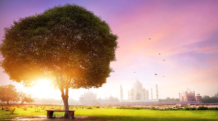Taj Mahal view from the Mehtab Bagh garden at sunrise