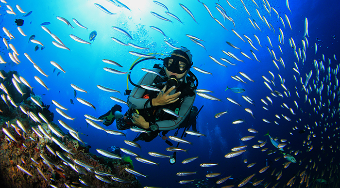 Scuba diver at the Great Barrier Reef Australia