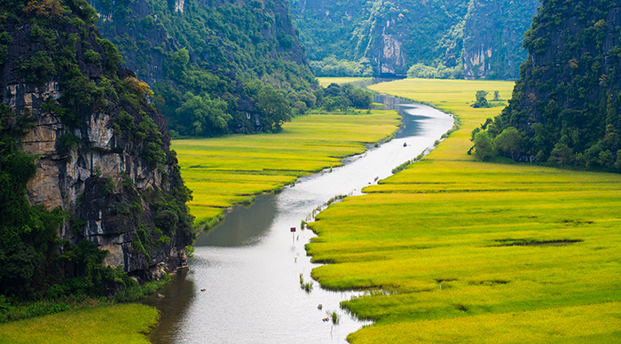 Rice field and river in Ninh Binh Province Vietnam