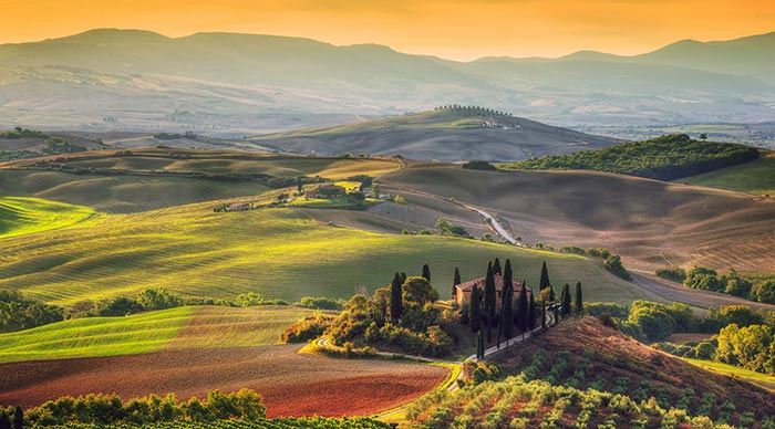 Evening view of Tuscany Wine Region