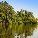 Peru Amazon landscape view