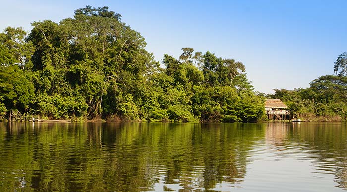 Peru Amazon landscape view