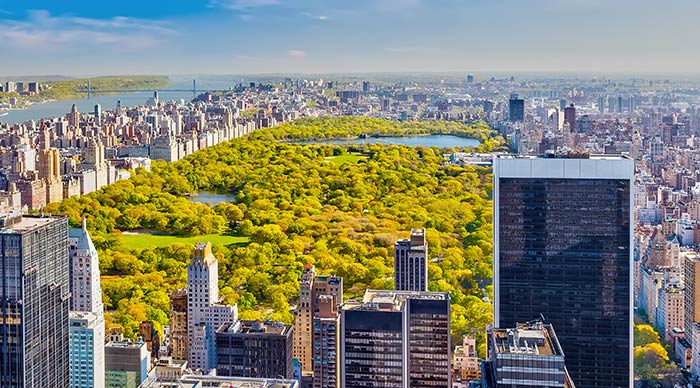 Aerial view of Central Park in New York