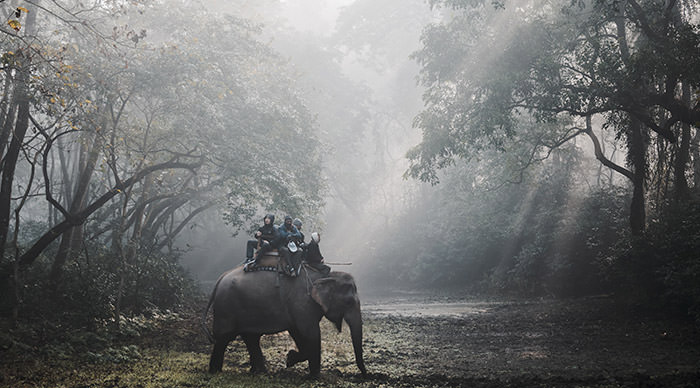 Tourists doing an elephant safari in Chitwan National Park