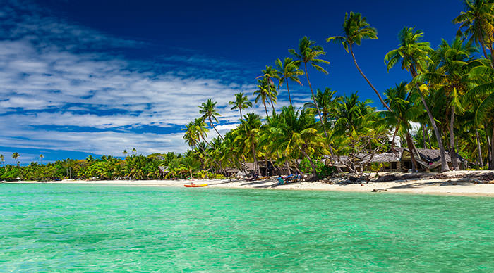 Tall coconut palm trees over tropical island resort beach in Fiji